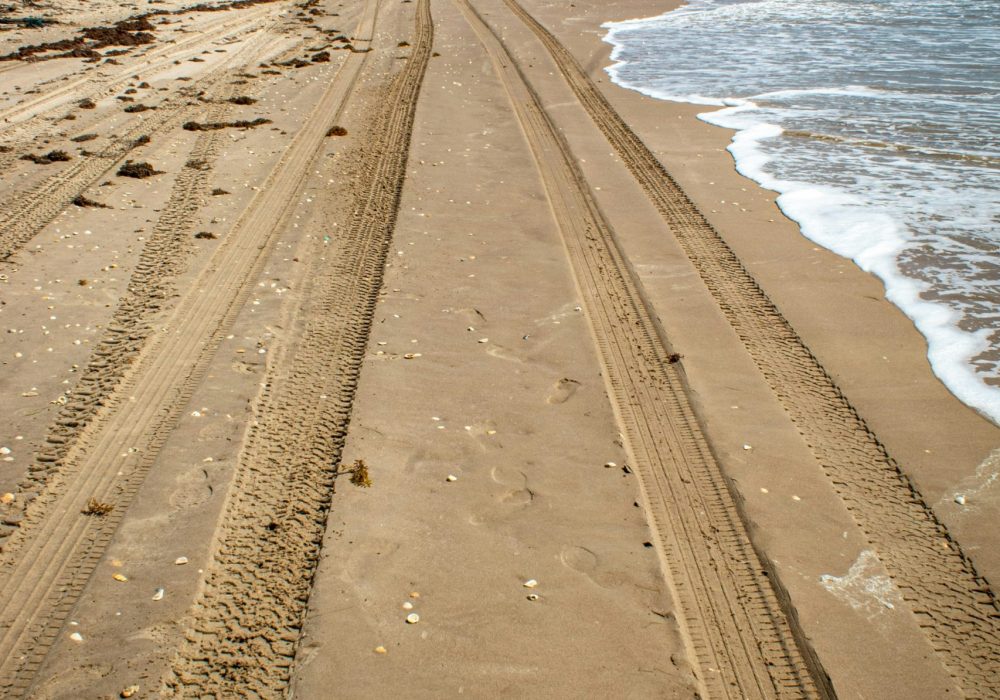 Coastal Reclamation Coastal Reclamation